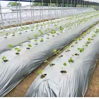 Chemische Rohstoff -Innovationen: Erforschung von Polyester -Polyol- und Polymerpolyol in modernen Polyurethananwendungen