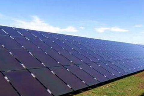 Ist ein Haustier gegen Hydrolyse resistent?